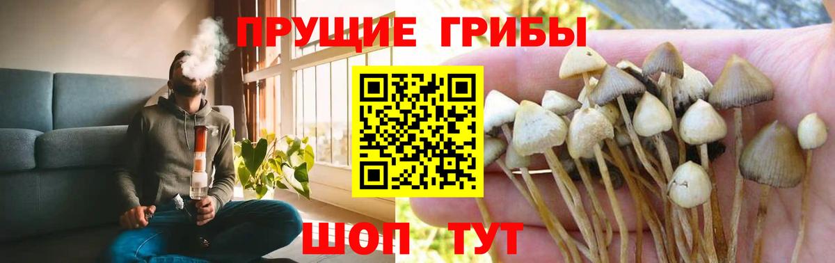 Красноуфимск  Псилоцибиновые грибы ЛСД  Вход с VPN 